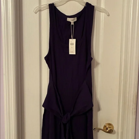 NWT Anthropologie x LSPACE Tie-Waist Blue Maxi Dress Sz M - Picture 4 of 10